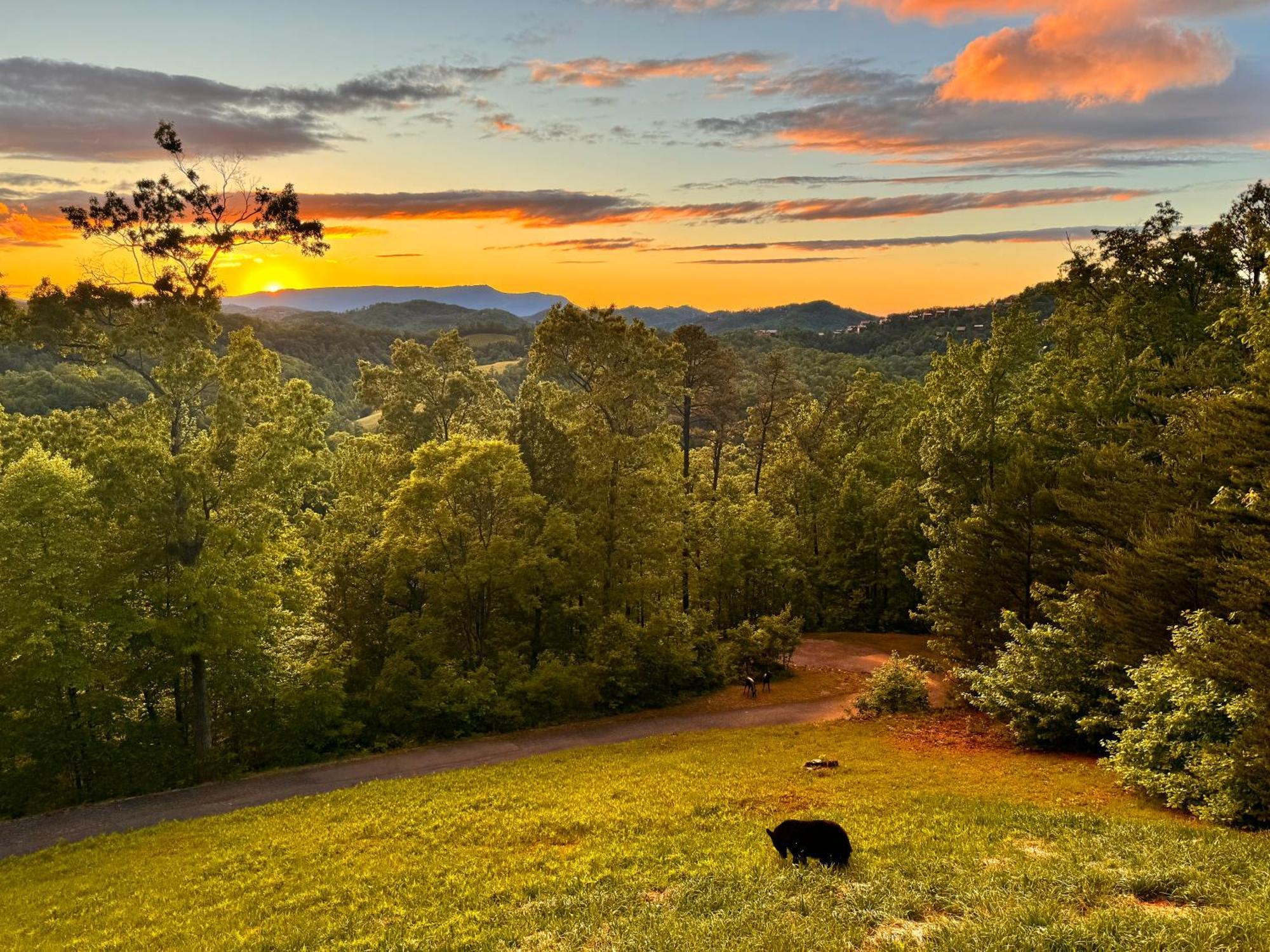 Smoky Best - Glowing Twilight Pigeon Forge Exterior foto